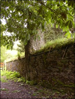 Ysbyty Cynfyn Standing Stone, Ceredigion