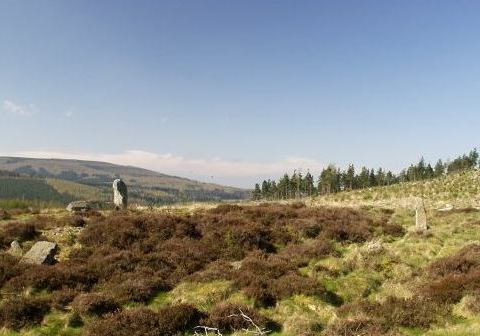 Whitehill Stone Circle, Aberdeenshire