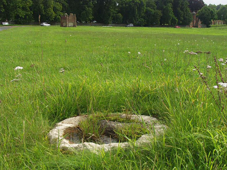 Melford Cross Cross