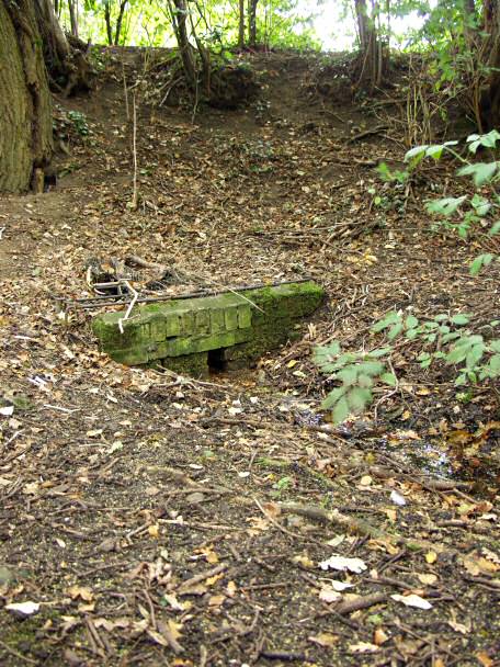 Lady Well well