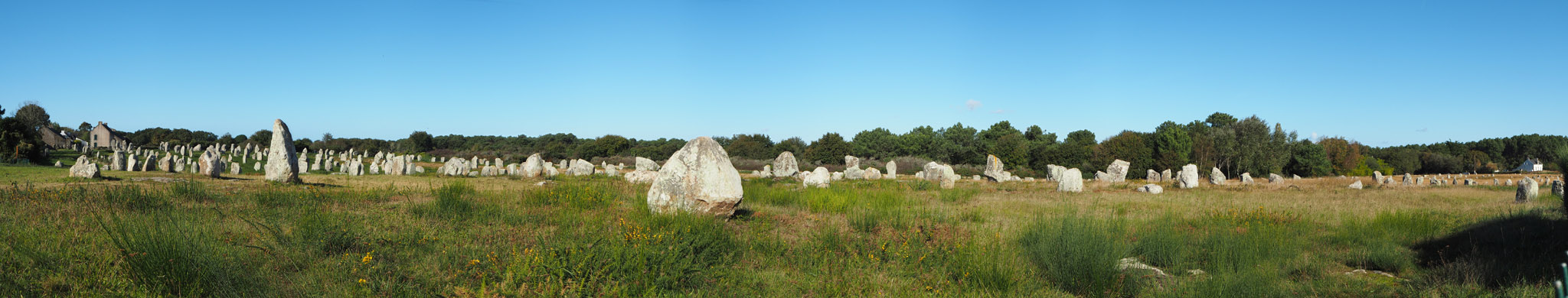 view of the rows on standing stones at Menec