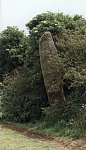 Gun Rith Standing Stone, Cornwall